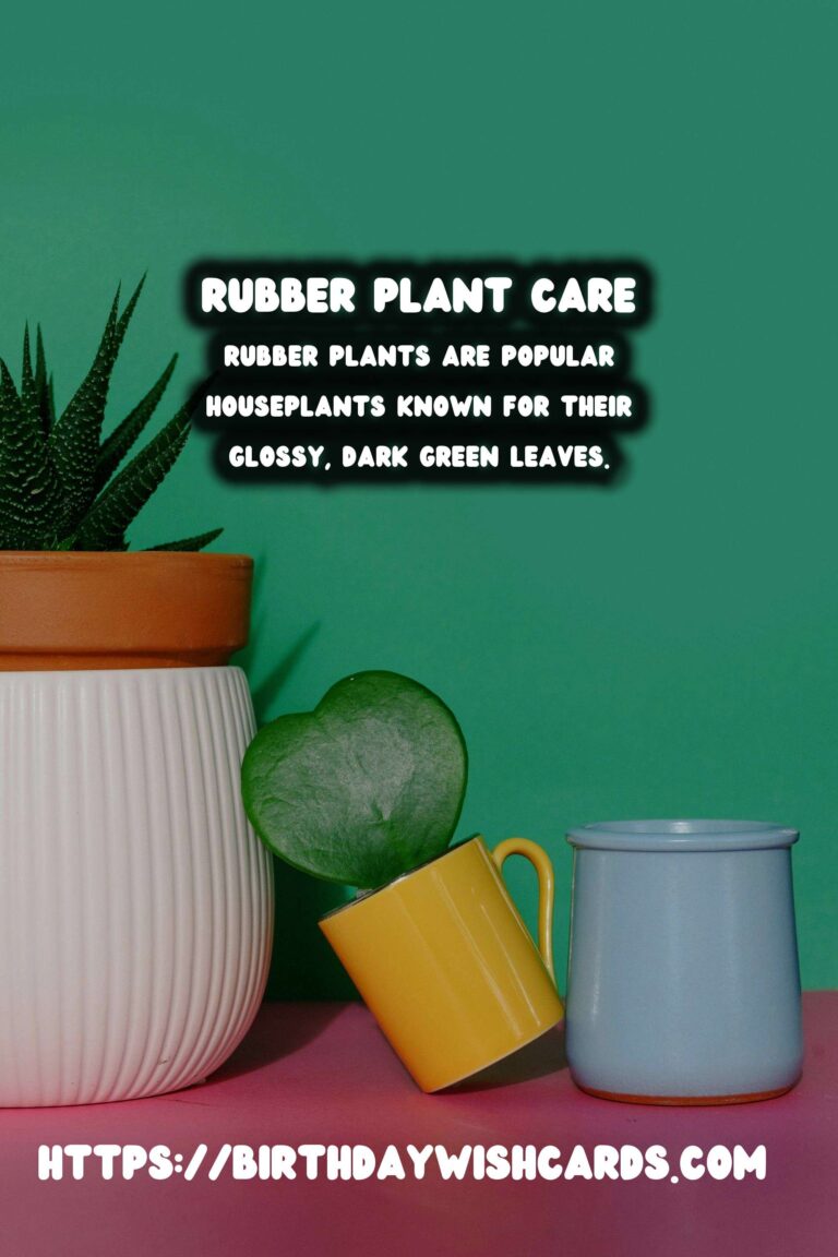 Caring for Rubber Plants: Understanding and Preventing Leaf Dropping
