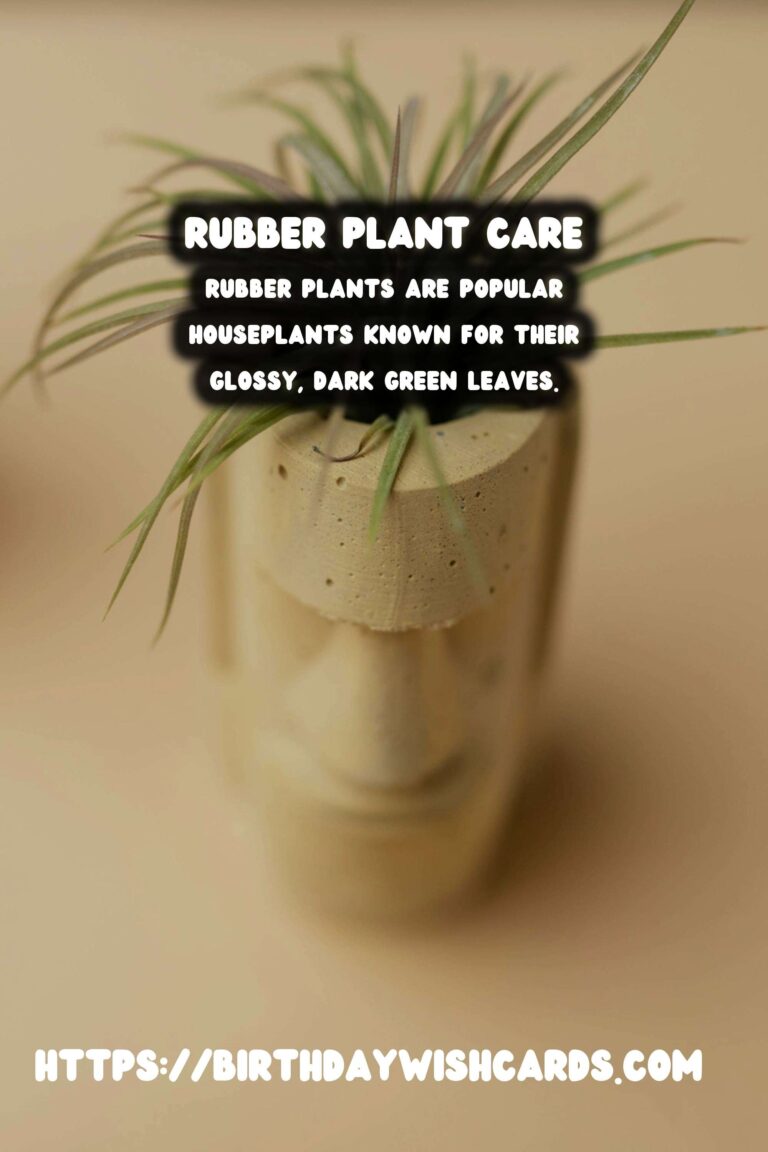 Caring for Rubber Plants: Understanding and Preventing Leaf Dropping