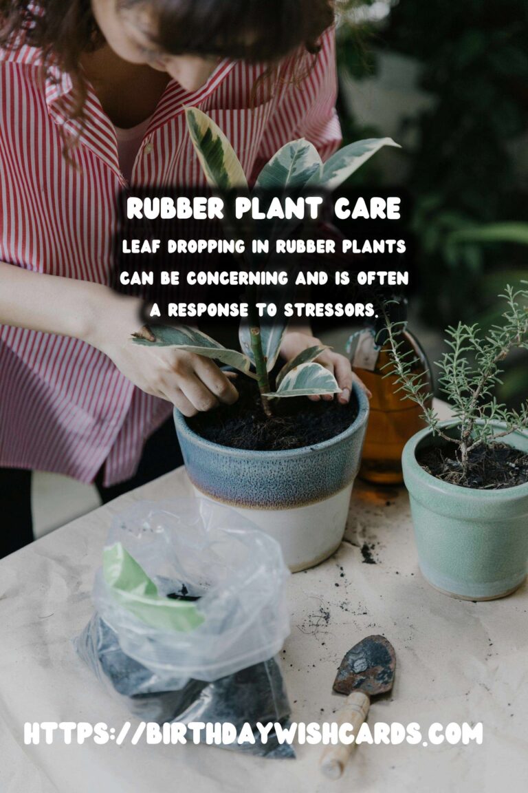 Caring for Rubber Plants: Understanding and Preventing Leaf Dropping