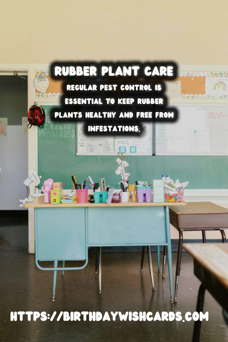 Caring for Rubber Plants: Understanding and Preventing Leaf Dropping