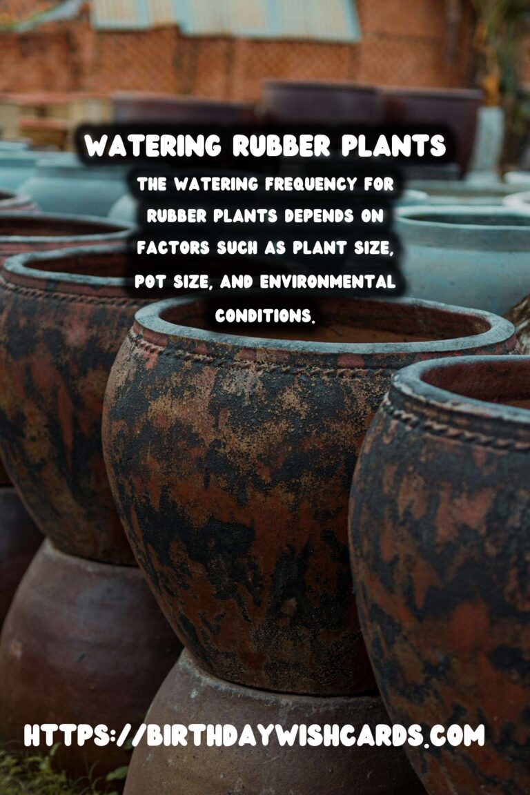 Caring for Rubber Plants: Watering Frequency and Best Practices