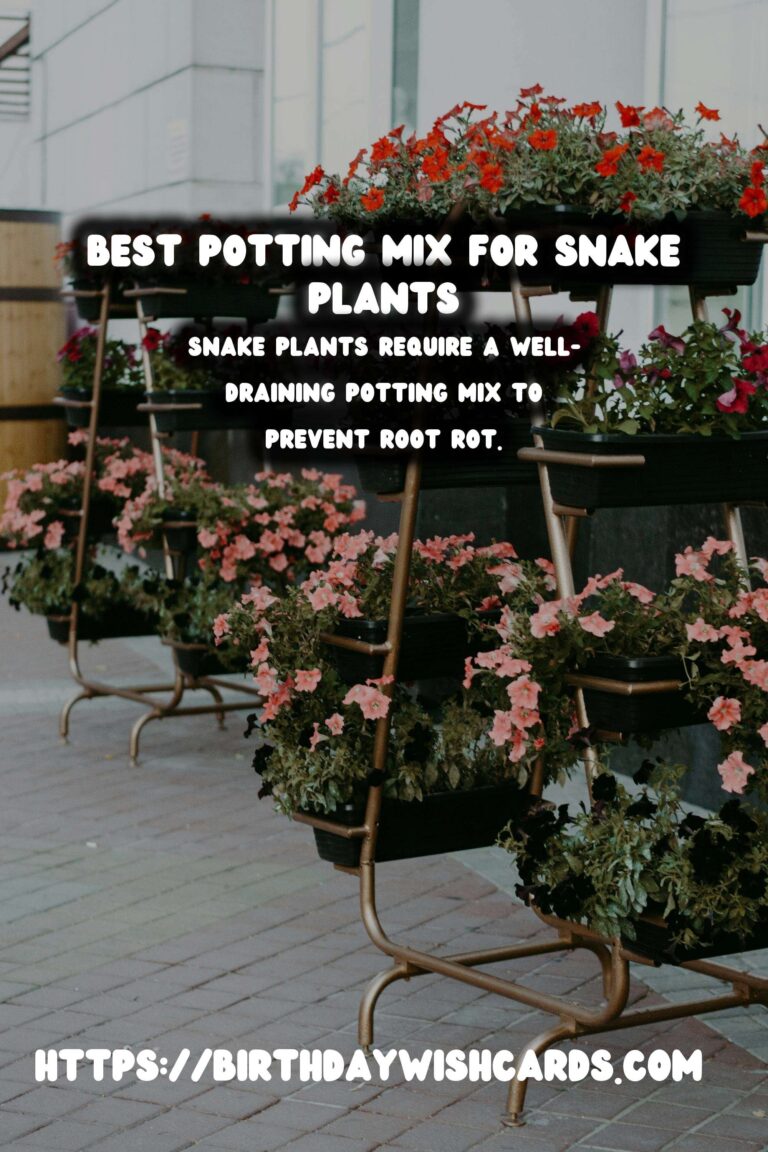 Caring for Snake Plants: Best Potting Mix for Optimal Growth