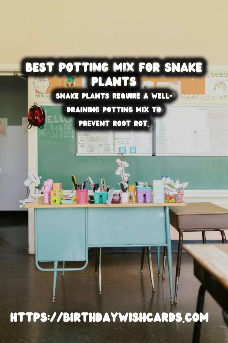 Caring for Snake Plants: Best Potting Mix for Optimal Growth