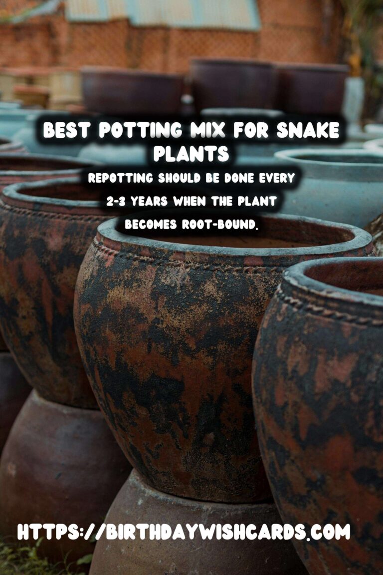 Caring for Snake Plants: Best Potting Mix for Optimal Growth