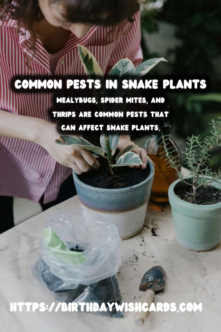 Caring for Snake Plants: Essential Pests to Watch For