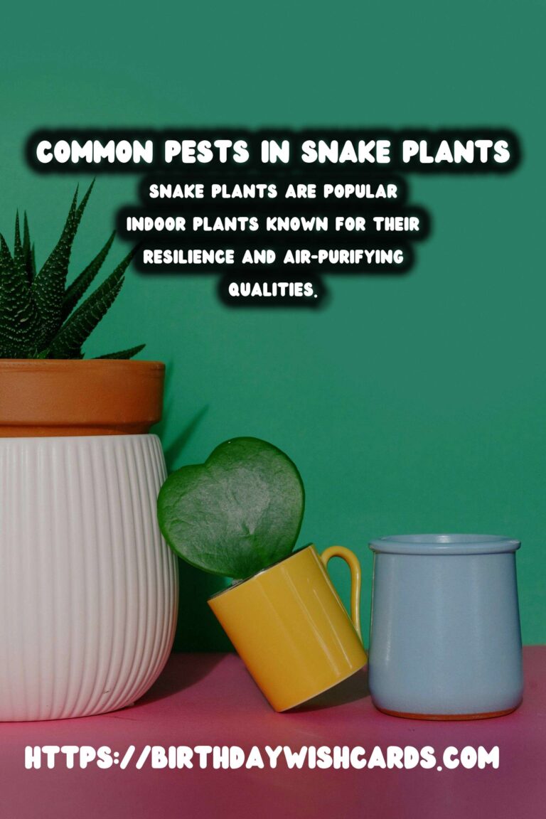 Caring for Snake Plants: Essential Pests to Watch For