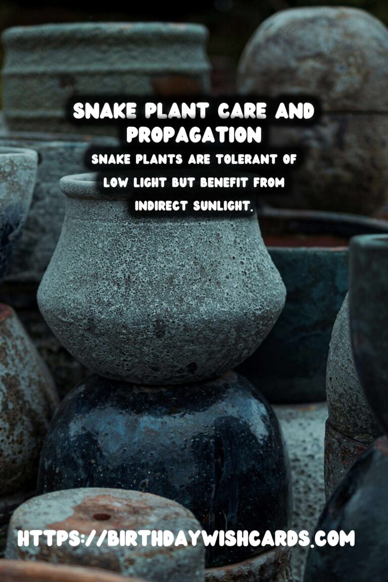 Caring for Snake Plants: Flowering & Seeds