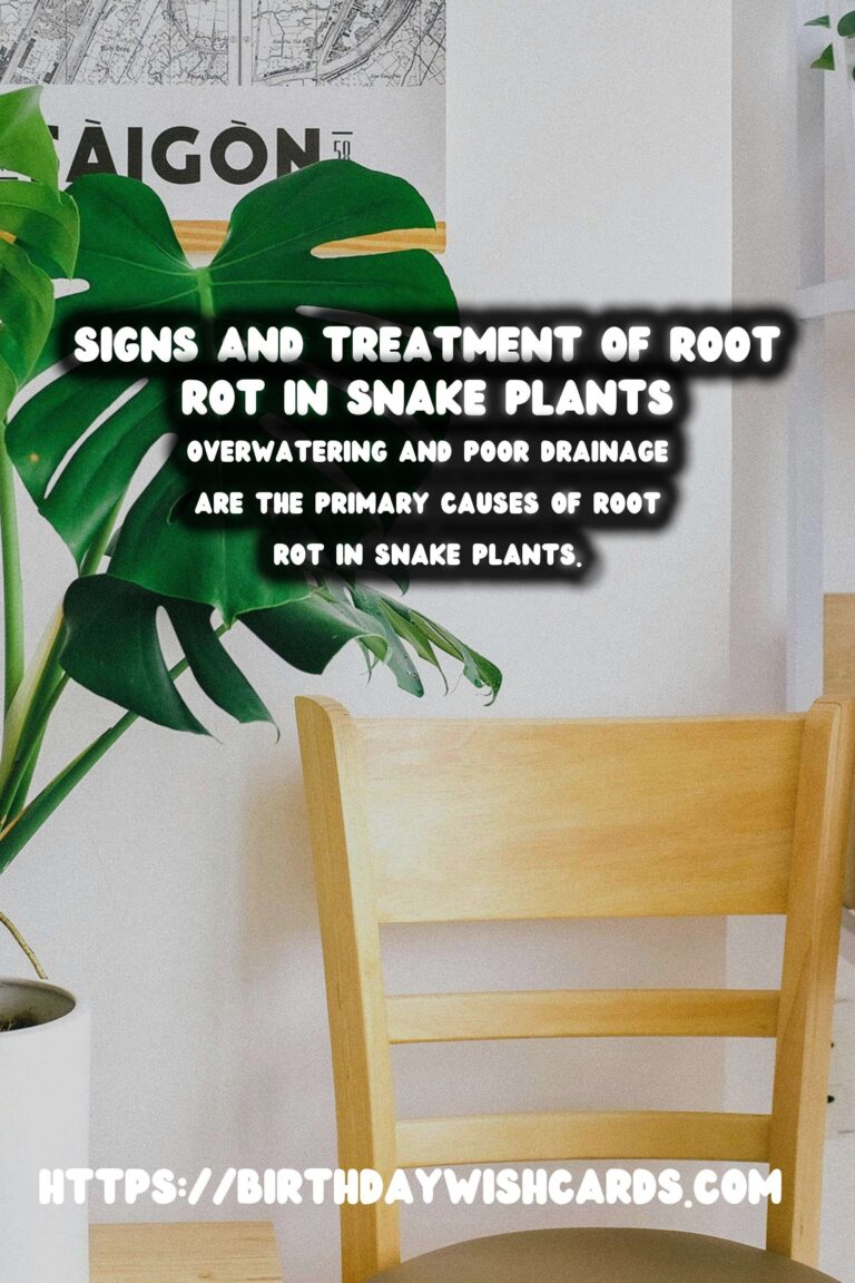 Caring for Snake Plants: Identifying and Treating Root Rot