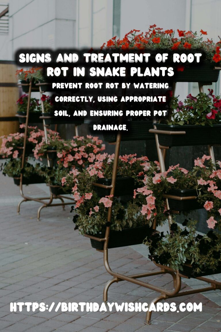 Caring for Snake Plants: Identifying and Treating Root Rot