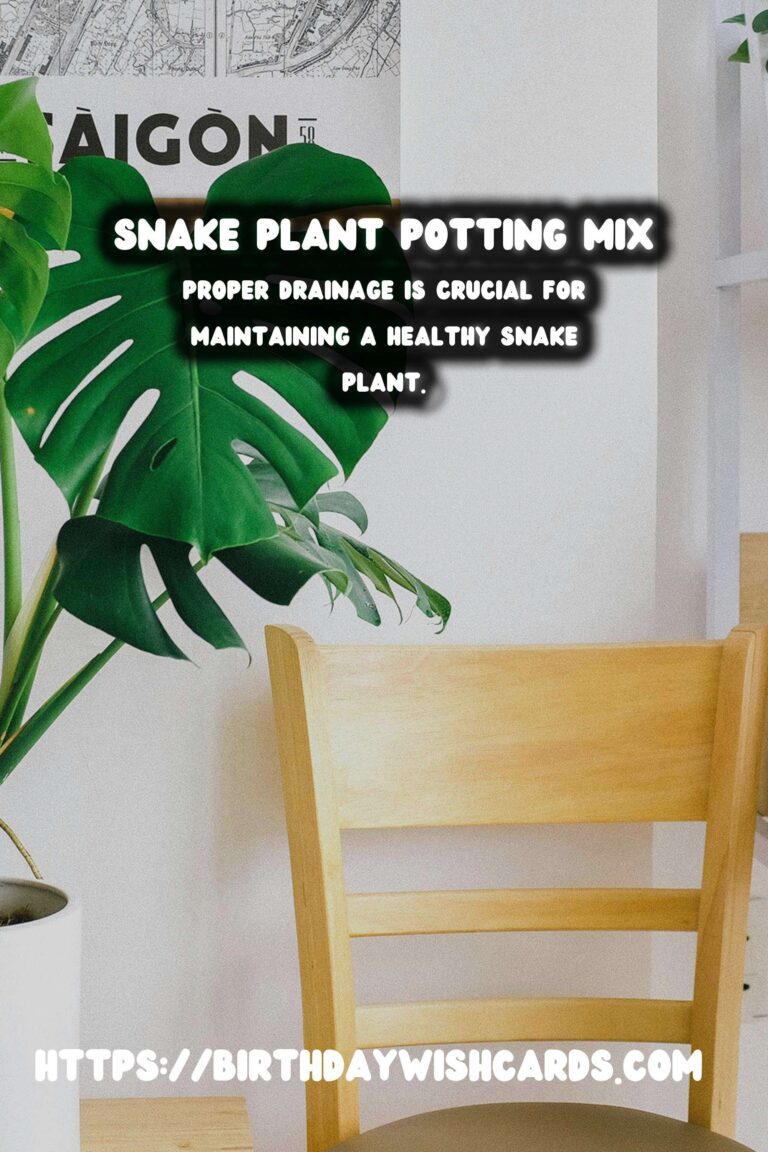 Caring for Snake Plants: Optimal Potting Mix for Drainage