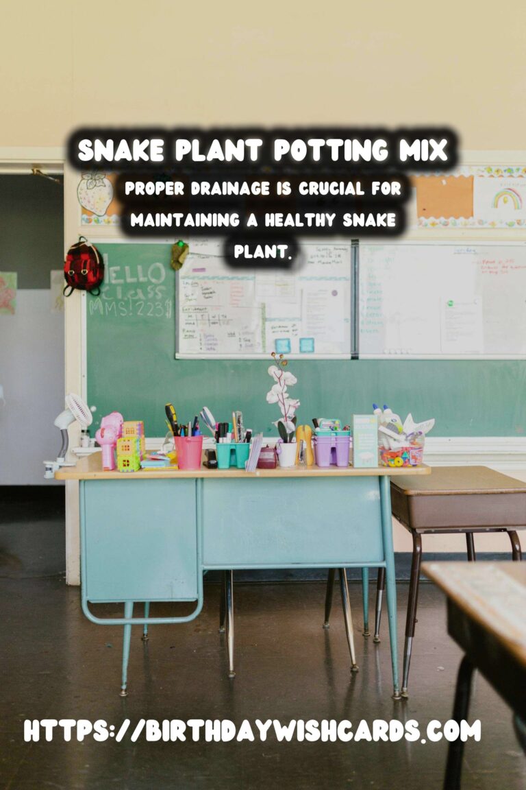 Caring for Snake Plants: Optimal Potting Mix for Drainage