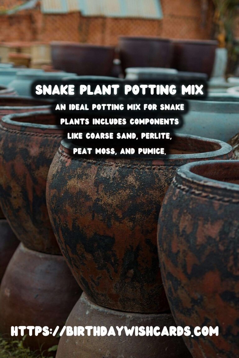 Caring for Snake Plants: Optimal Potting Mix for Drainage