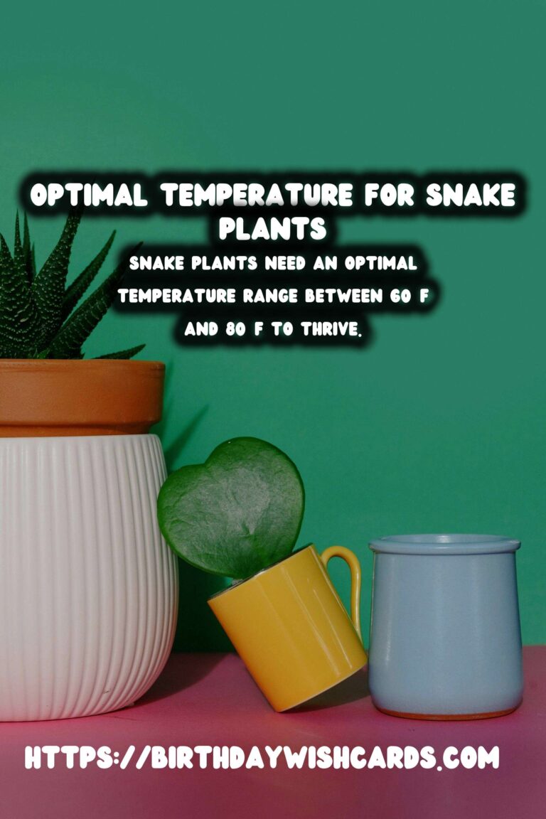 Caring for Snake Plants: Optimal Temperature
