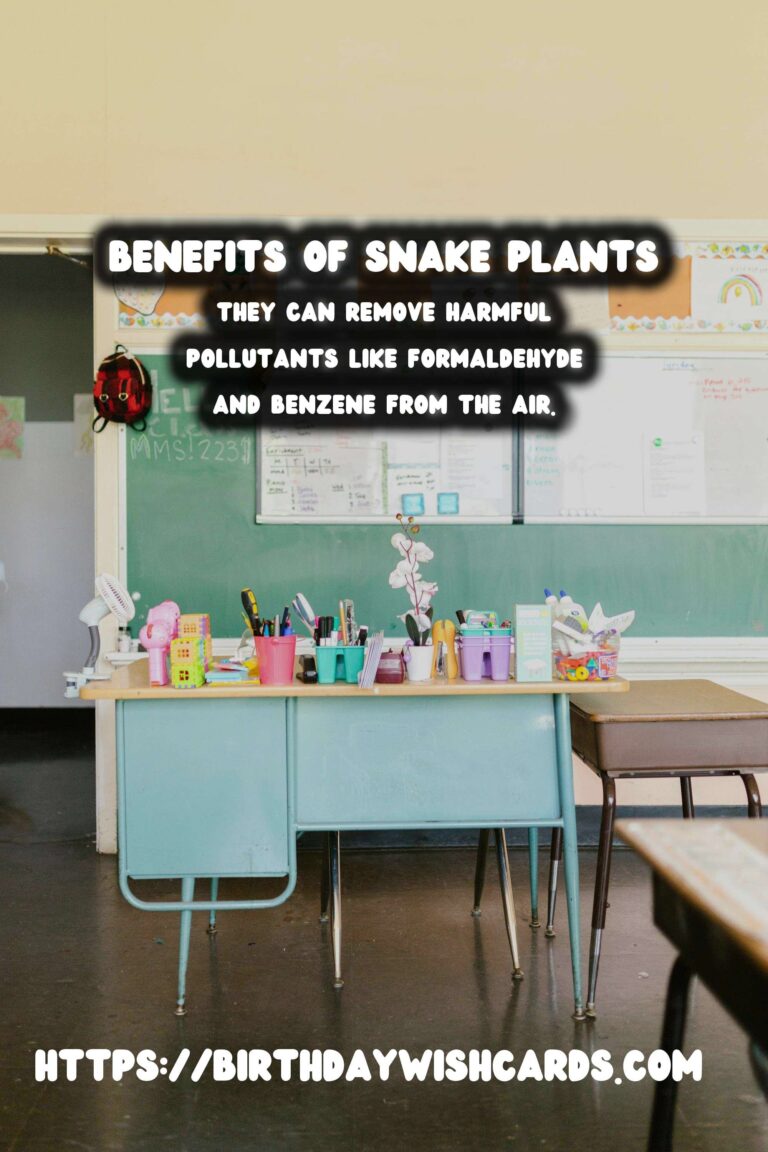 Caring for Snake Plants: Unlocking Their Air Purification Benefits