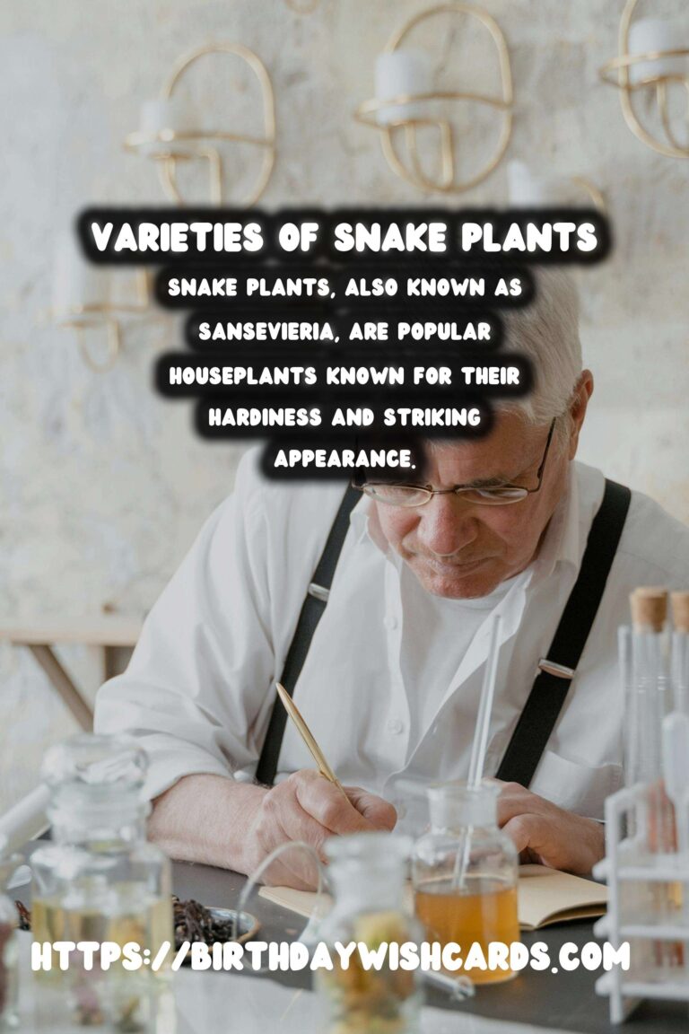 Caring for Snake Plants: Varieties & Comprehensive Care Guide