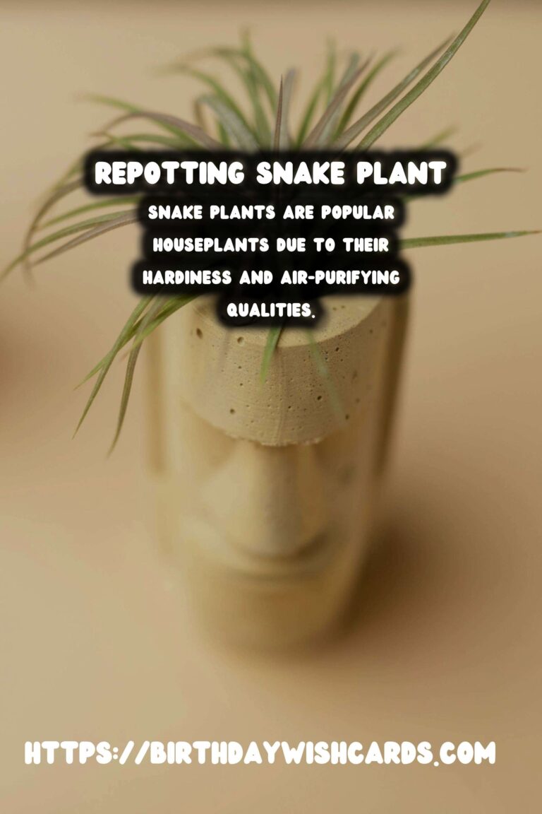 Caring for Snake Plants: When to Repot for Optimal Growth