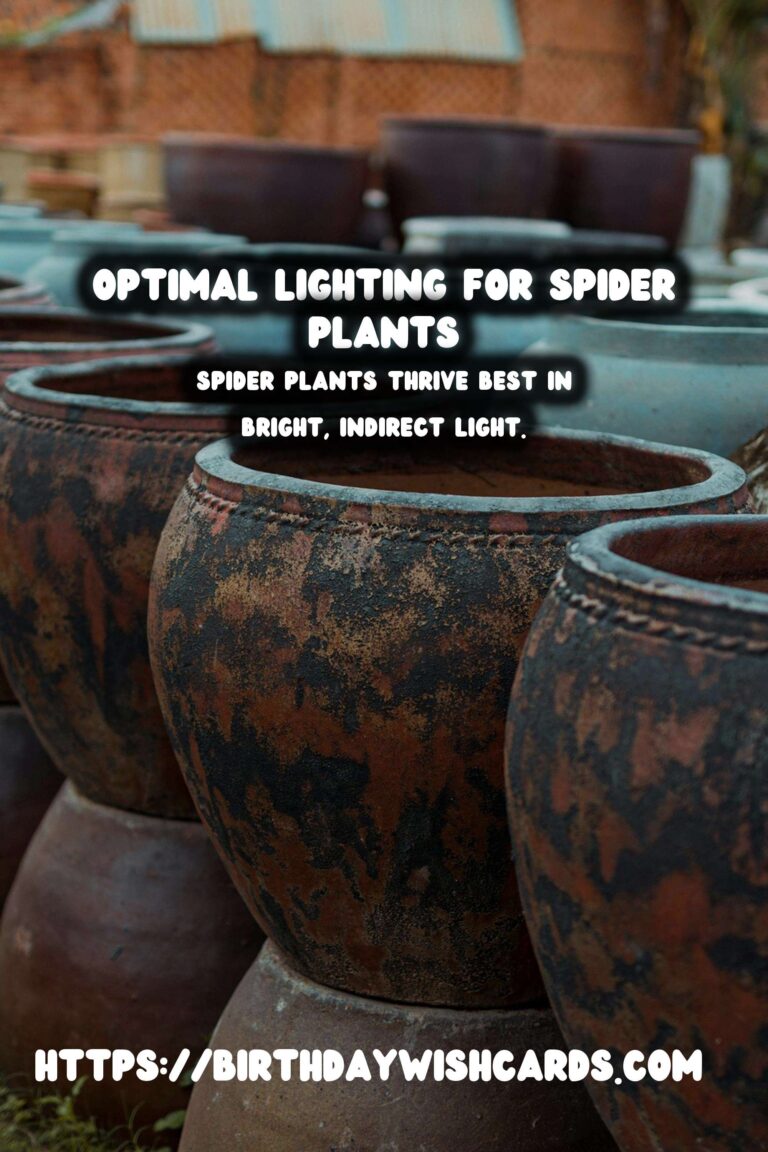 Caring for Spider Plants: Best Lighting Conditions