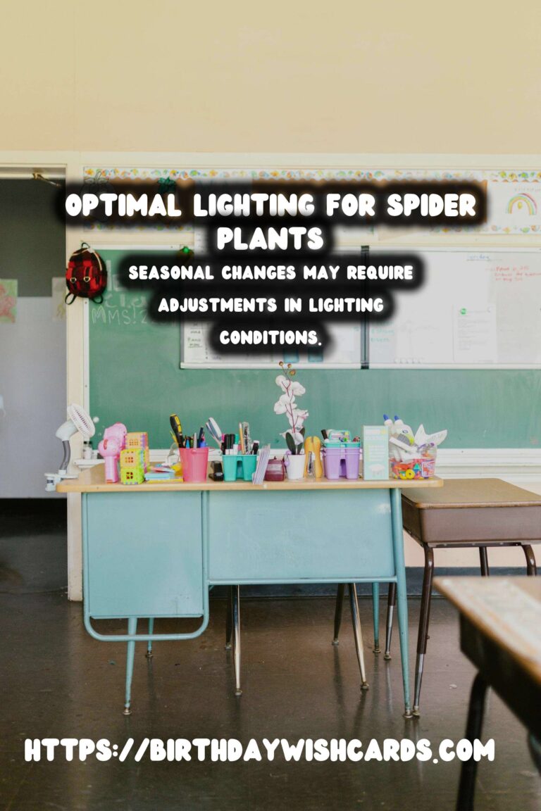 Caring for Spider Plants: Best Lighting Conditions