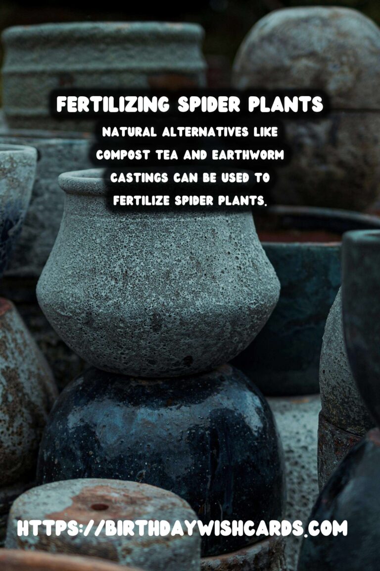 Caring for Spider Plants: Fertilizing for Optimal Health
