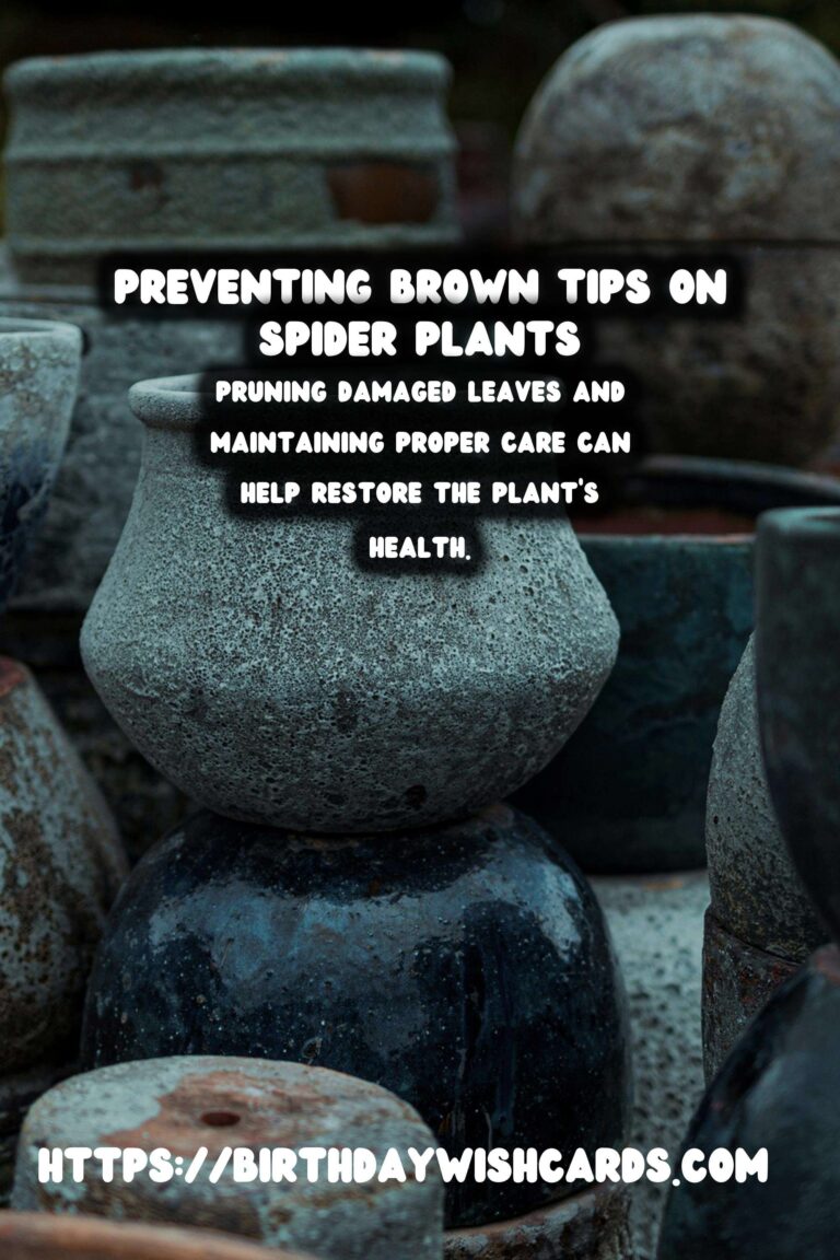 Caring for Spider Plants: How to Prevent and Treat Brown Tips