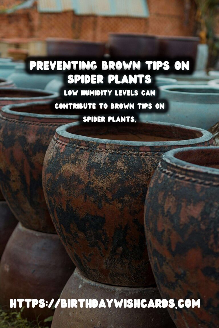 Caring for Spider Plants: How to Prevent and Treat Brown Tips