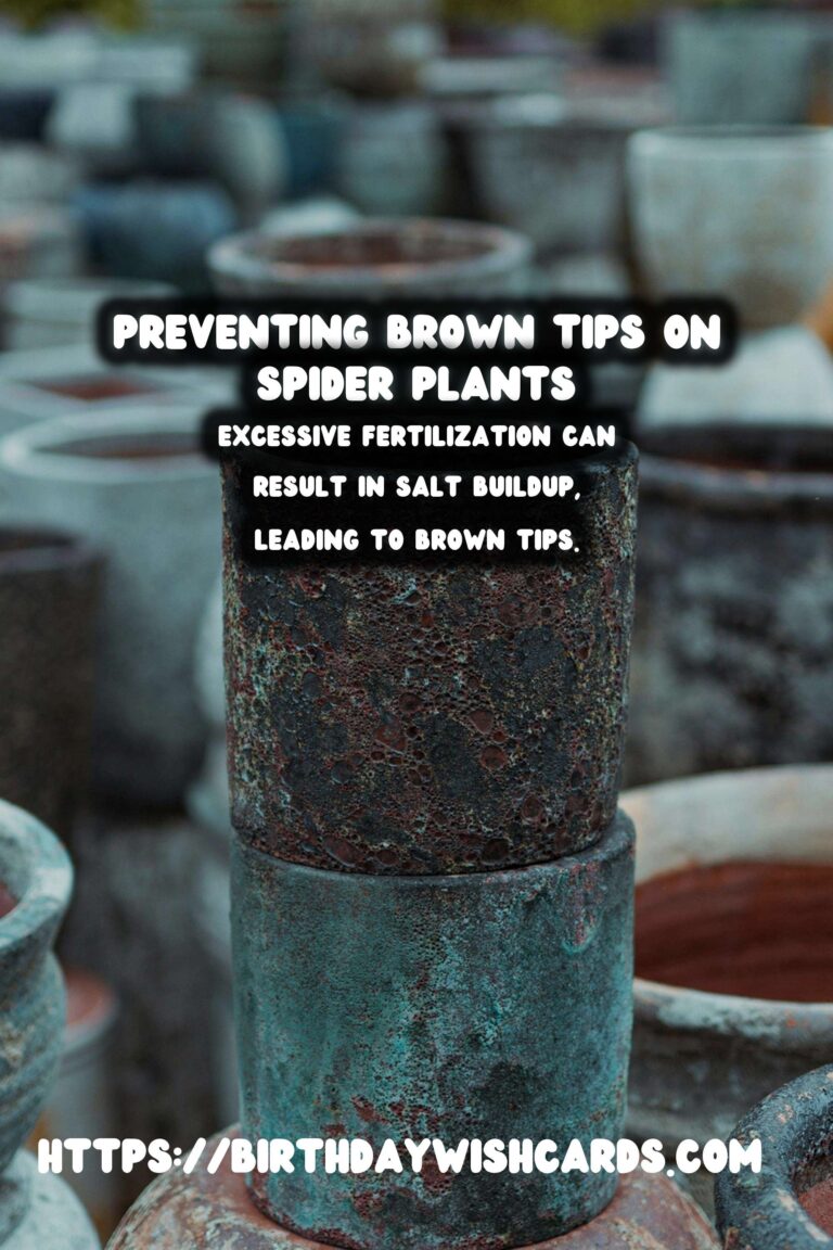 Caring for Spider Plants: How to Prevent and Treat Brown Tips