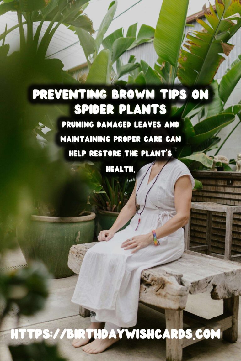 Caring for Spider Plants: How to Prevent and Treat Brown Tips
