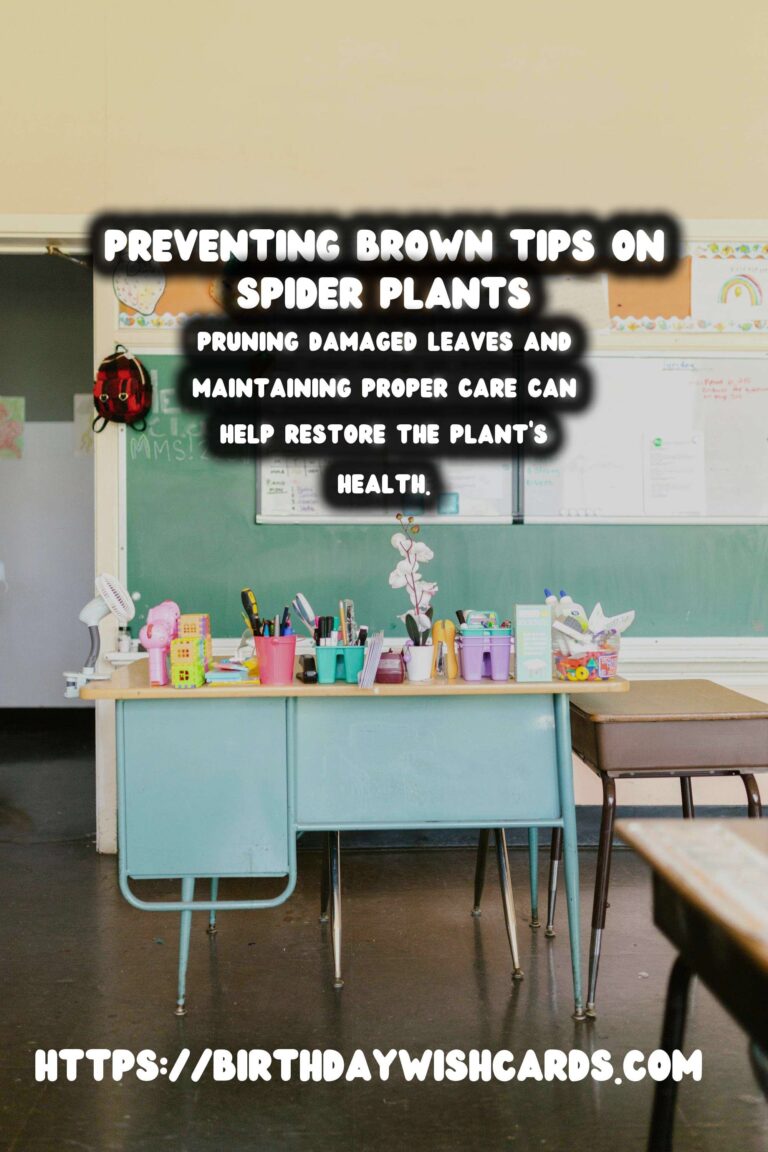Caring for Spider Plants: How to Prevent and Treat Brown Tips