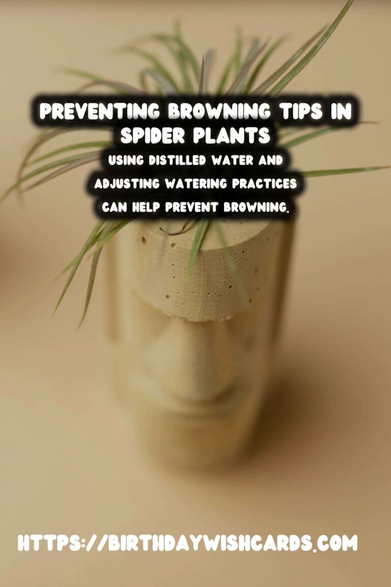 Caring for Spider Plants: How to Prevent and Treat Browning Tips