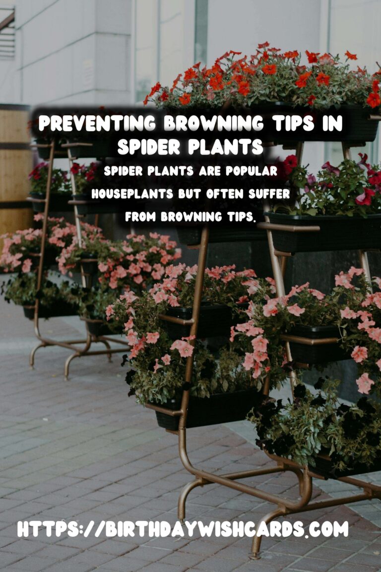 Caring for Spider Plants: How to Prevent and Treat Browning Tips