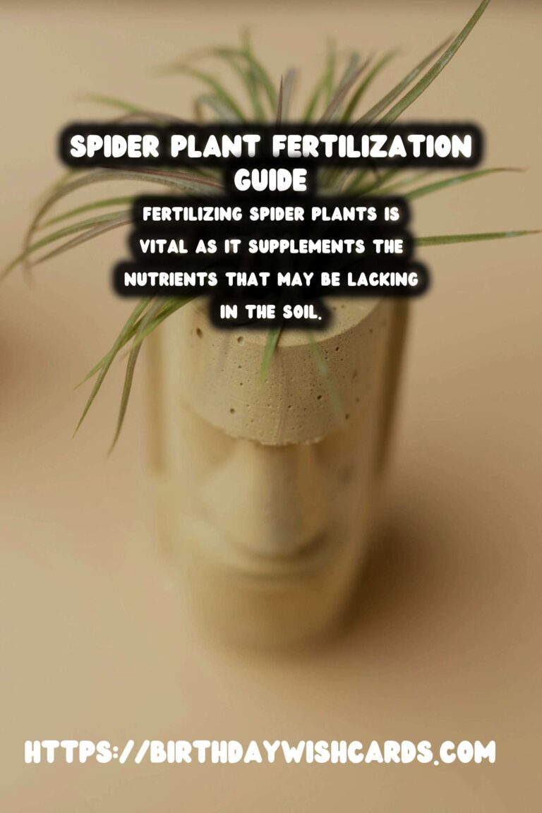 Caring for Spider Plants: Understanding Fertilizing Needs