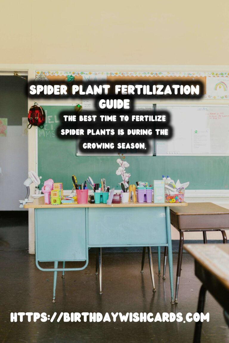Caring for Spider Plants: Understanding Fertilizing Needs