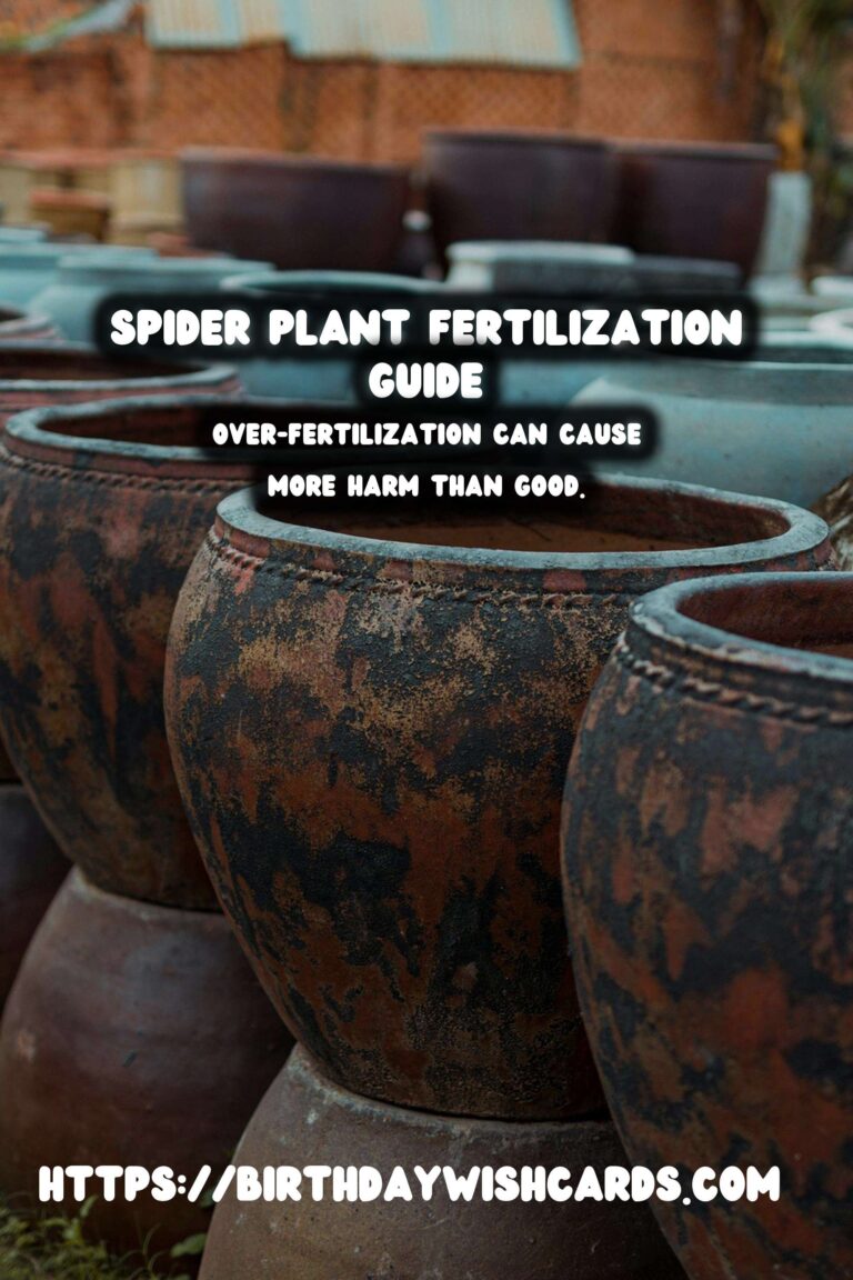 Caring for Spider Plants: Understanding Fertilizing Needs