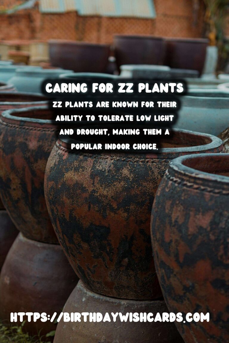 Caring for ZZ Plants: Best Potting Mix for Optimal Growth