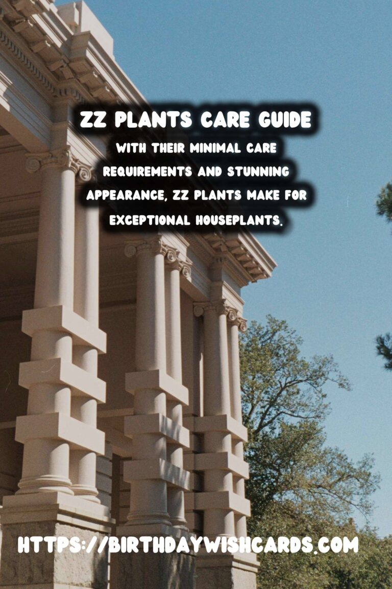 Caring for ZZ Plants: Extremely Low Maintenance Indoor Beauties