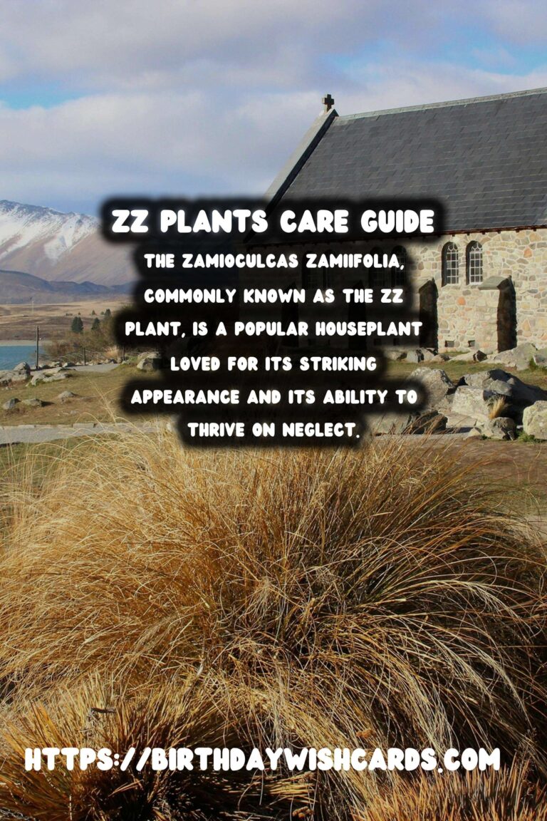 Caring for ZZ Plants: Extremely Low Maintenance Indoor Beauties