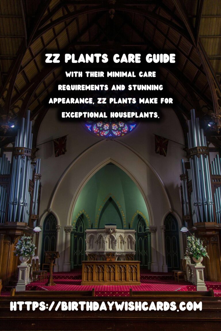 Caring for ZZ Plants: Extremely Low Maintenance Indoor Beauties