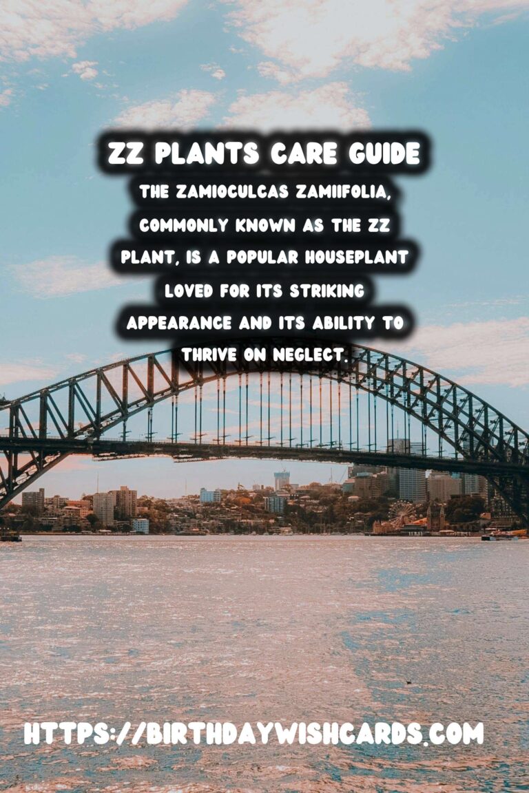 Caring for ZZ Plants: Extremely Low Maintenance Indoor Beauties