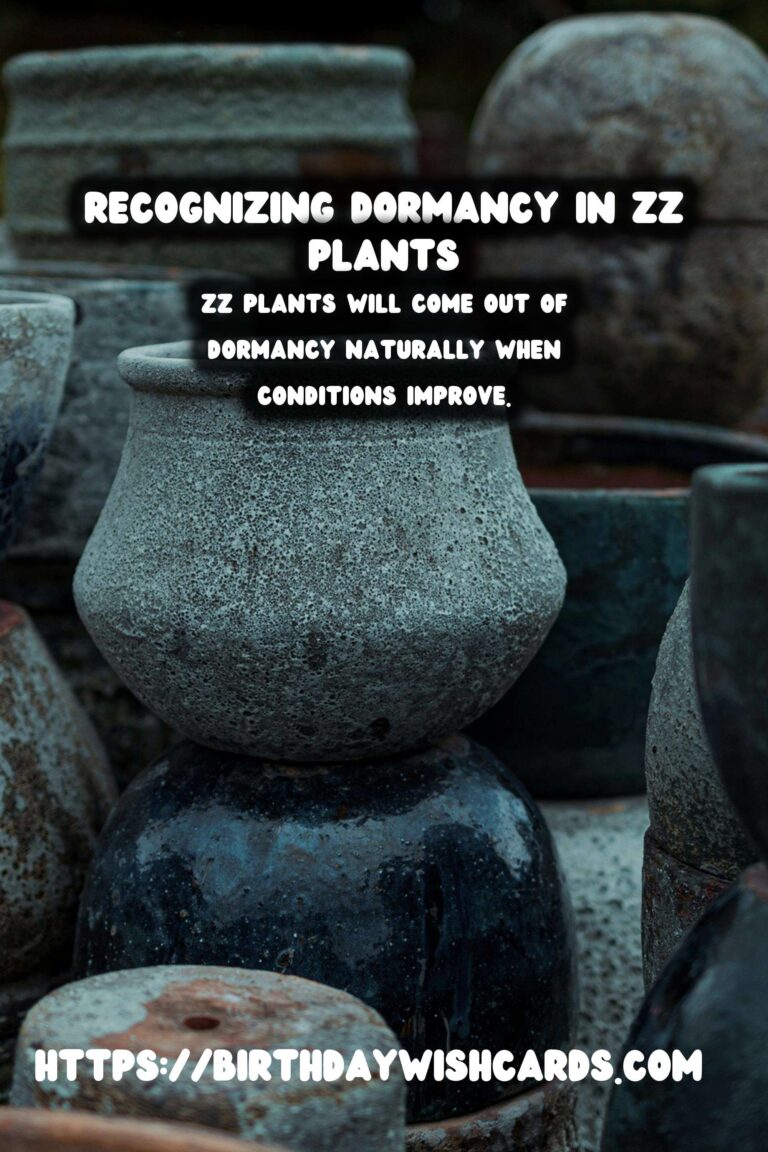 Caring for ZZ Plants: Identifying Dormancy Signs
