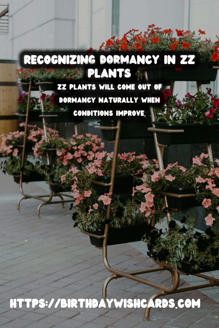 Caring for ZZ Plants: Identifying Dormancy Signs