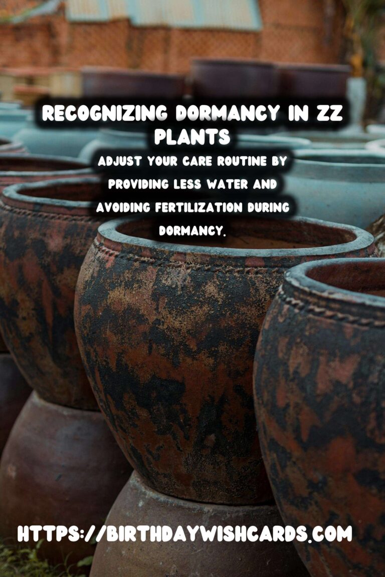 Caring for ZZ Plants: Identifying Dormancy Signs