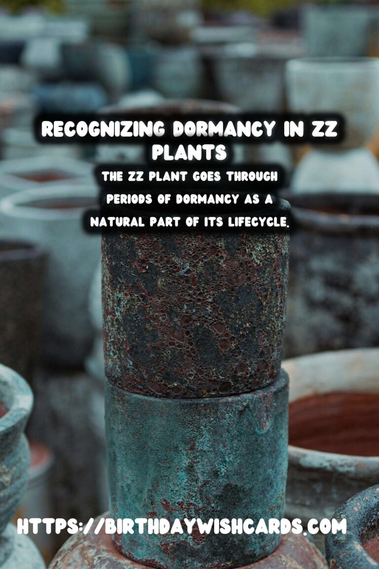 Caring for ZZ Plants: Identifying Dormancy Signs