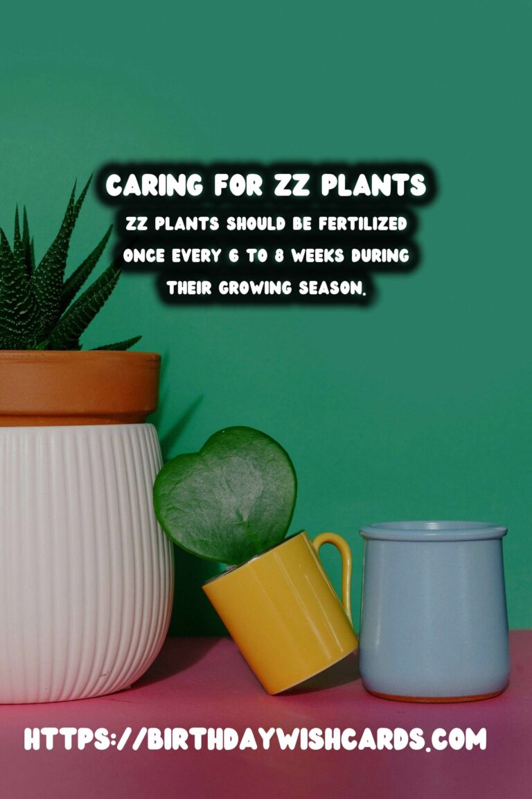 Caring for ZZ Plants: Understanding Fertilizing Frequency