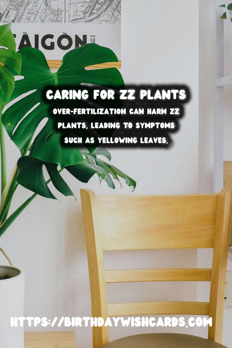 Caring for ZZ Plants: Understanding Fertilizing Frequency