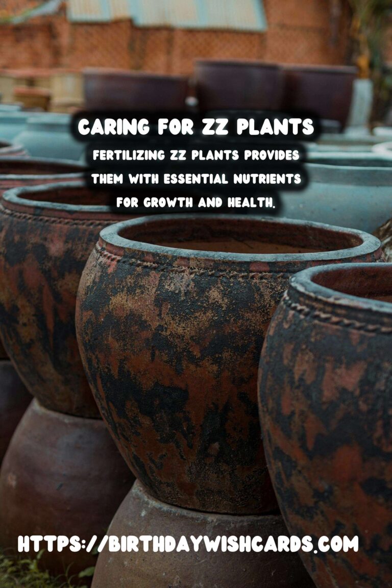 Caring for ZZ Plants: Understanding Fertilizing Frequency