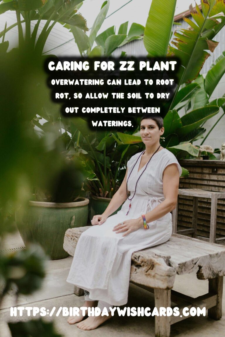 Caring for ZZ Plants: Understanding Low Light Adaptations