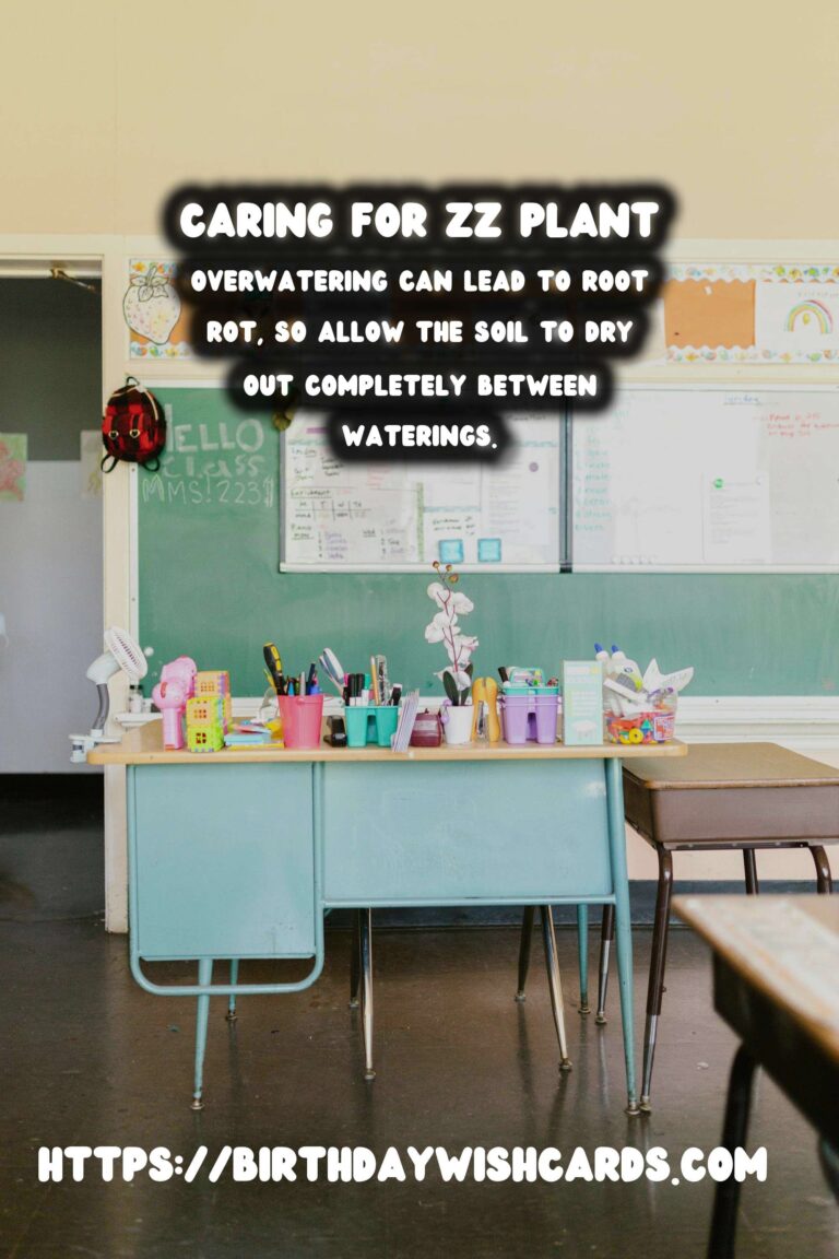 Caring for ZZ Plants: Understanding Low Light Adaptations