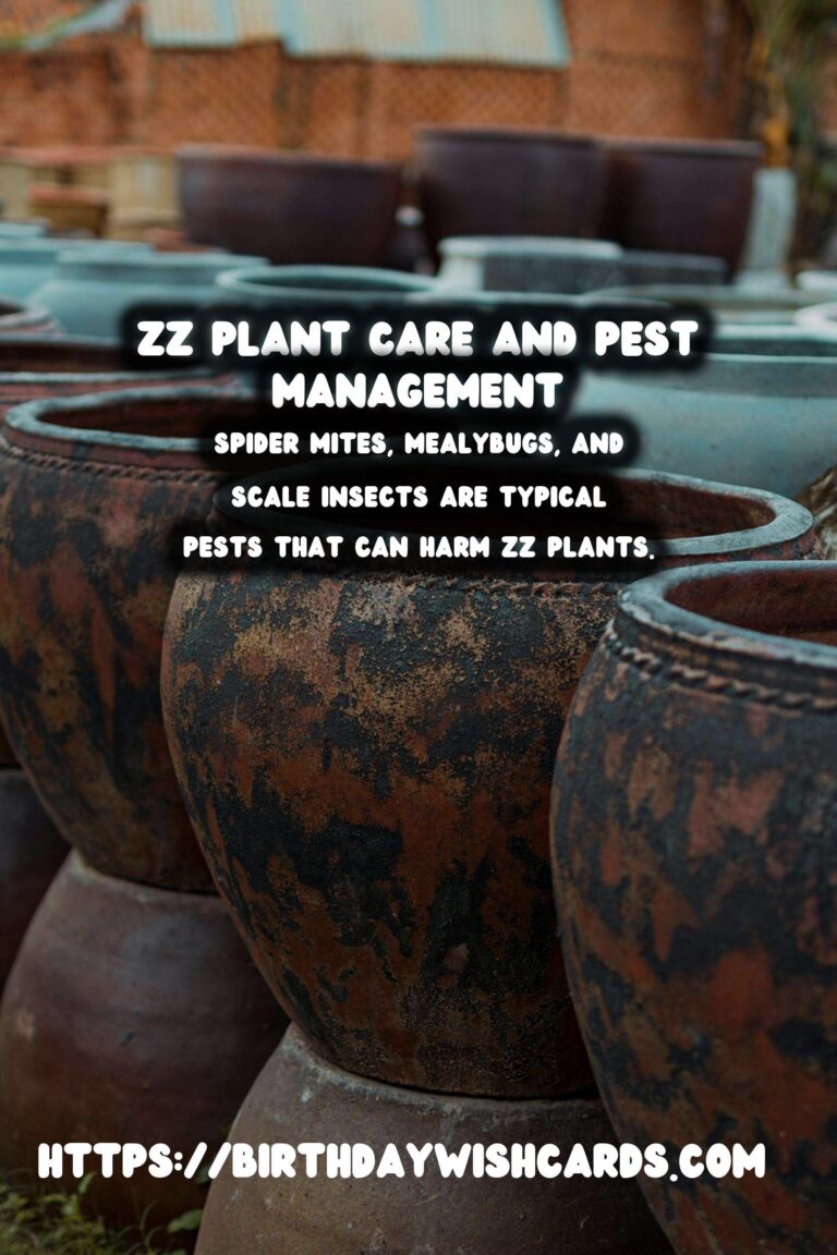 Caring for ZZ Plants: Understanding Pests and Diseases