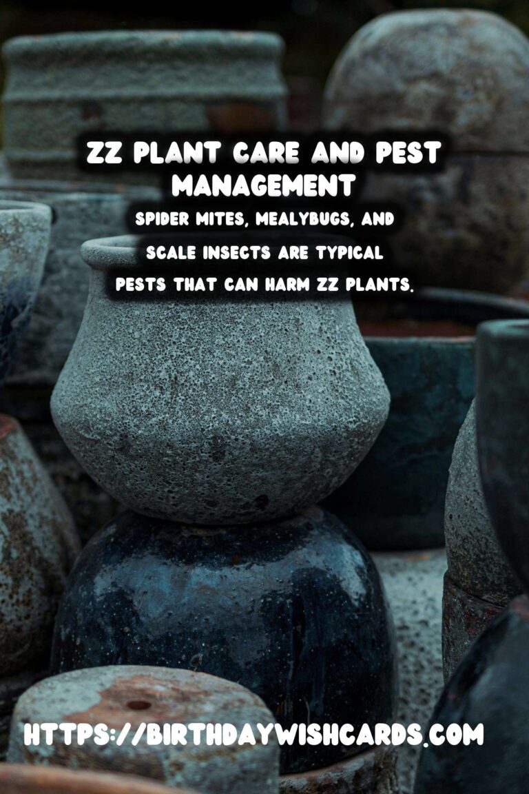 Caring for ZZ Plants: Understanding Pests and Diseases