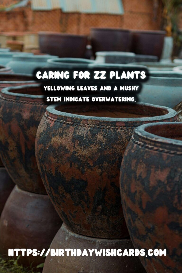 Caring for ZZ Plants: When to Water Less